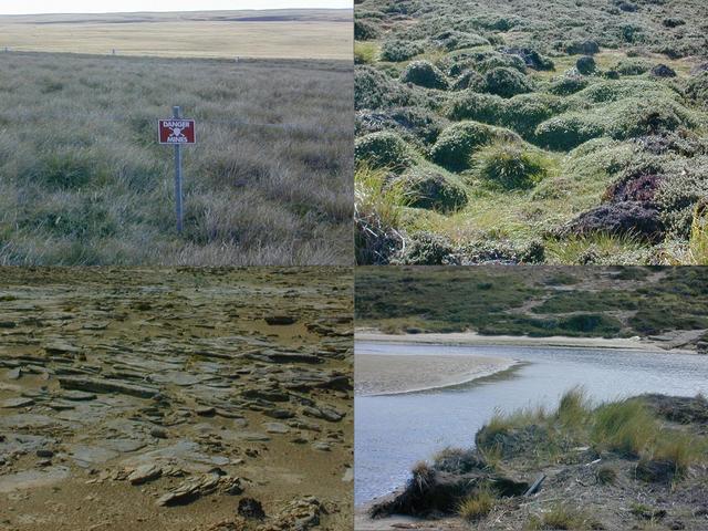 Varying terrain and obstacles, clockwise from upper left:  minefield  fence, hummocky ground, saltwater creek, Mars-like landscape.