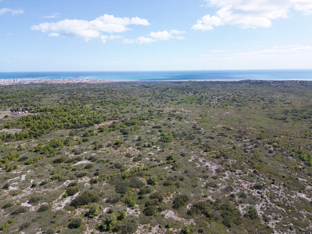 View East (towards the Mediterranian Sea), from 120m above the point