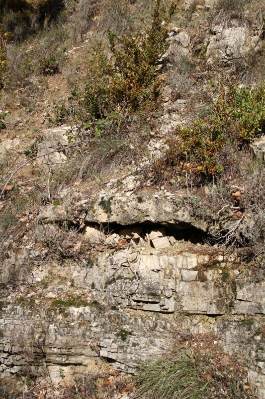 Limestone fissures, 60 metres from the CP