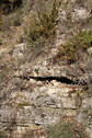 #8: Limestone fissures, 60 metres from the CP