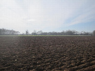 #3: Süden; view south