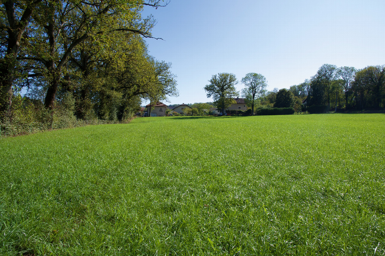 The confluence point lies in a grass-covered farm field.   (This is also a view to the South, towards a nearby residence.)