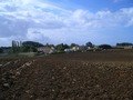 #8: The field between L'Houmee and the confluence point