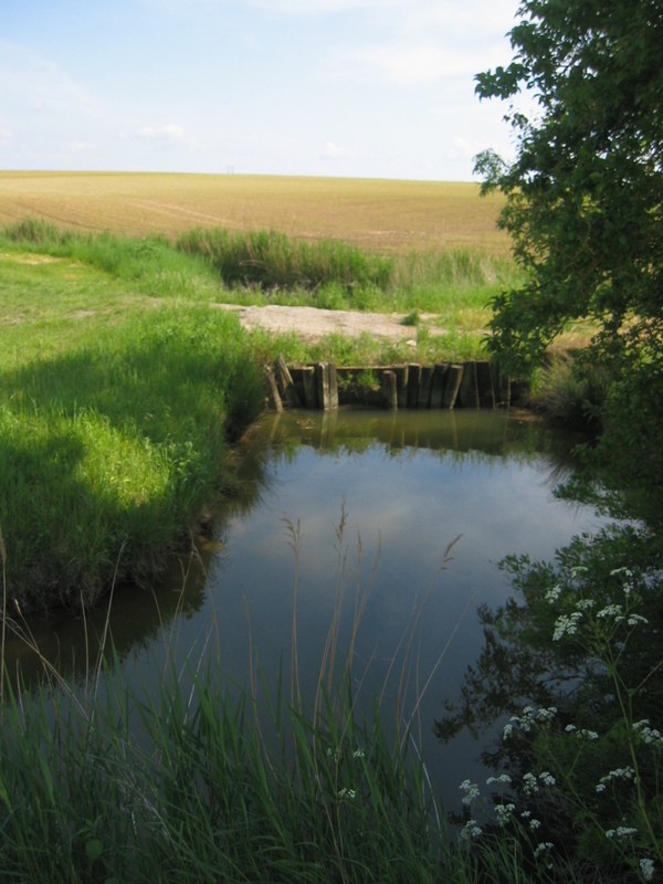 The Water Channel