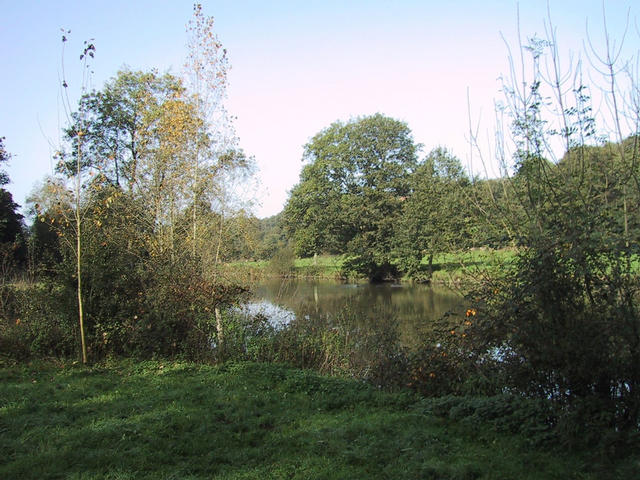 The confluence, close to the river "Sèvre nantaise"
