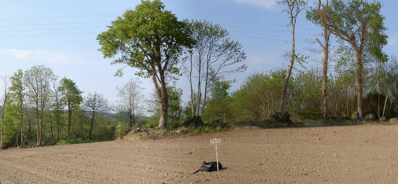 Confluence marked (temporarily) - view to NORTH – the tree