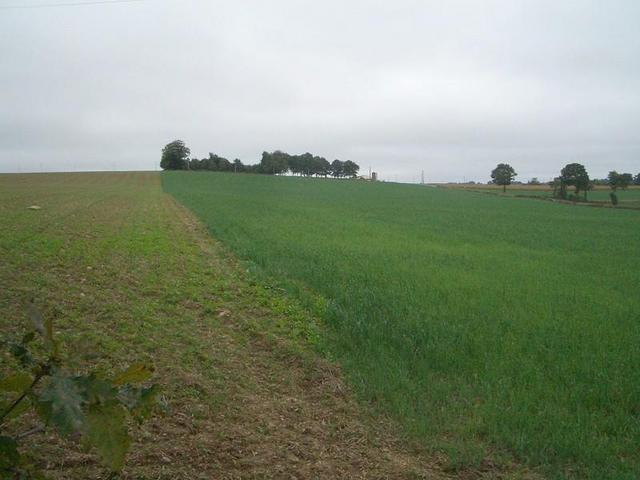 the confluence at right in the field, looking South