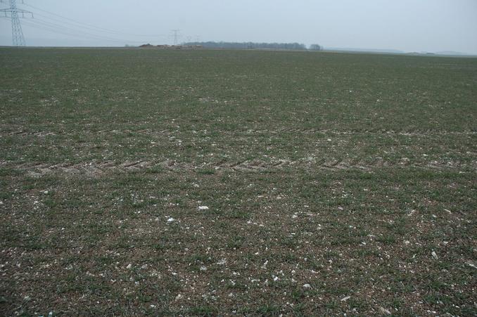Conflunce in a newly planted wheat field - looking toward East