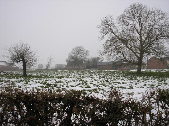 The snowy field with the point inside