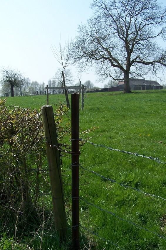 Closed entry to the meadow (view towards SW)