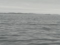 #4: View S to some Kitsigsut islands