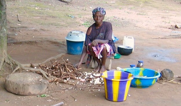 Woman cutting manioc