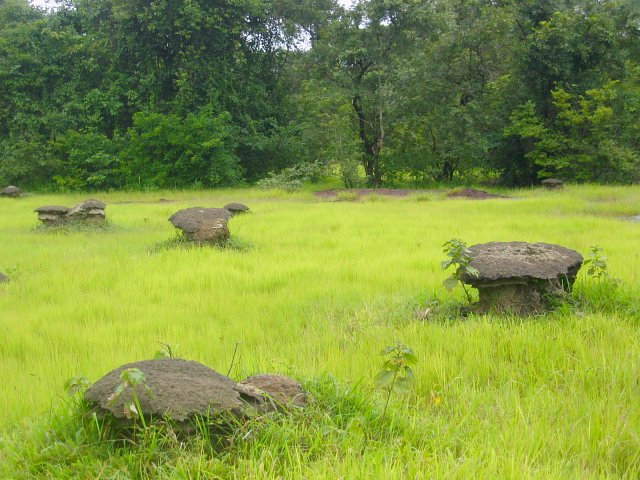 Mushroom-shaped termite hills