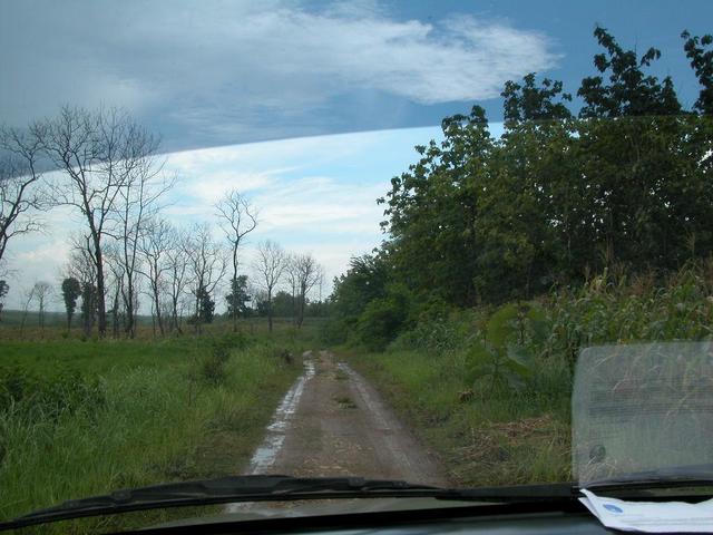 The dirt road towards the confluence point