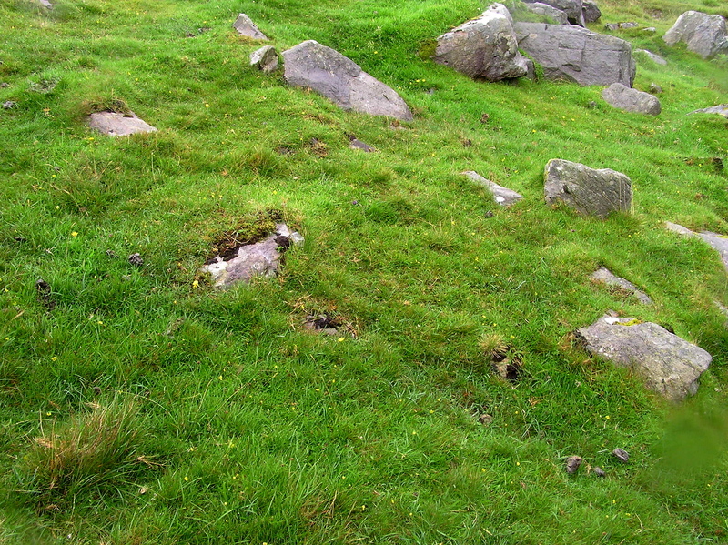 The confluence point: A steep, rock-strewn hillside (and sheep farm)