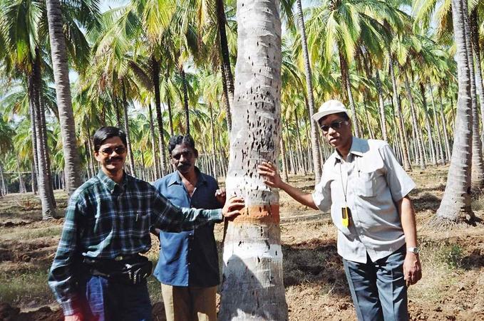 Lakshman, Mohan & Jagan at 12N77E
