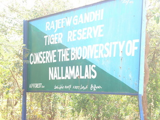 #1: Sign board of Rajiv Gandhi Tiger Reserve