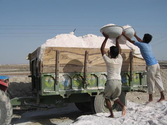 Salt workers load up a truck