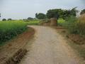 #3: The road between the confluence and the village of Shamuchetra