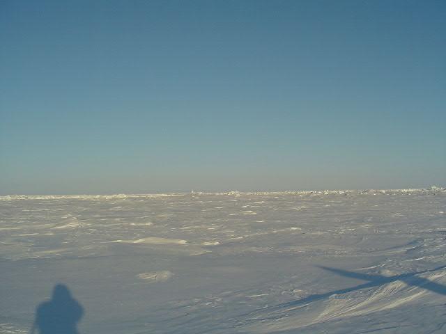 Looking south from the pole