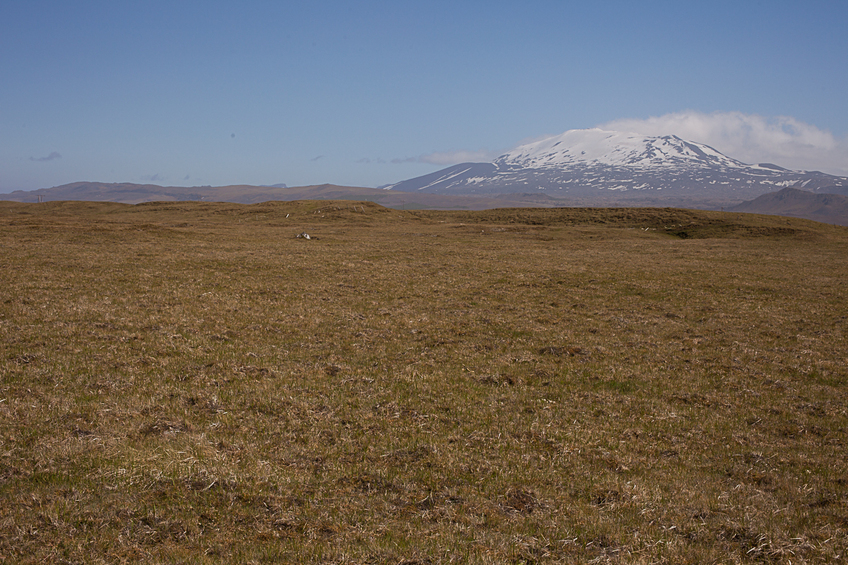 64Nx20W overview from 100 m west of CP, Hekla in background