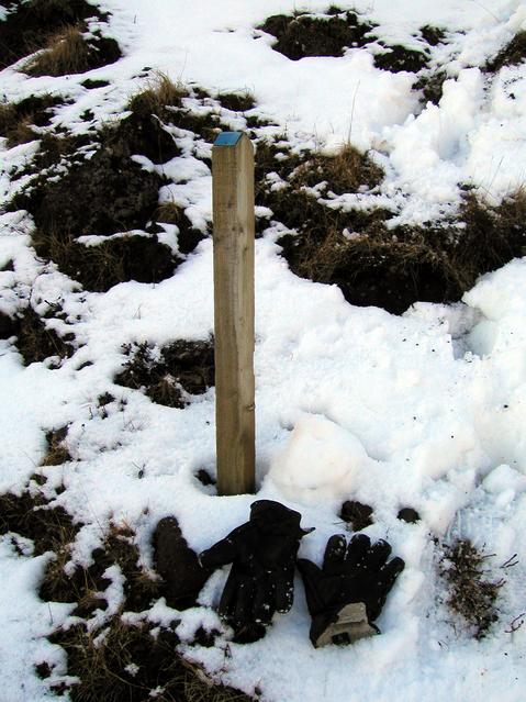 Border markers going up the gully