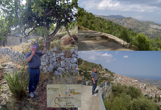 Road to Staiti with fig tree and map / Strada per Staiti con albero di fico e mappa