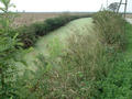 #8: Water and irrigation canals in the Delta of the River Po