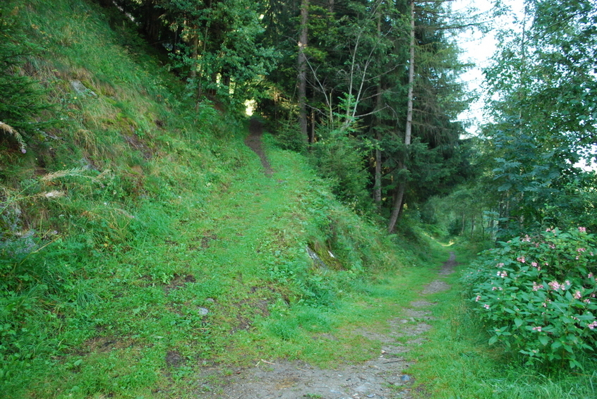 Path up to the CP