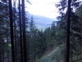 #10: View into the Valley at 20 m Distance