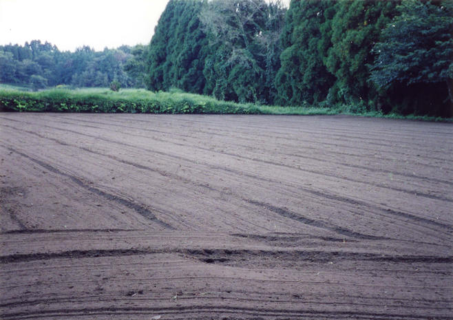 A newly-plowed field