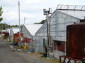 #8: The plastic greenhouses near the confluence