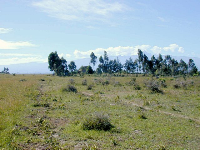 Looking east towards Mt. Kenya.