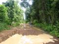 #2: Road conditions in northern Cambodia