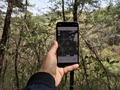 #5: The BadElf GPS app on the iPhone X shows the coordinates.