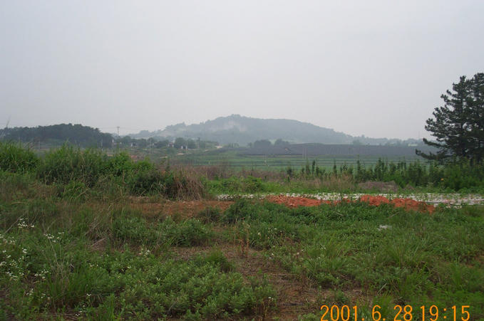 Looking west; the local area had a variety of crops growing in the fields.