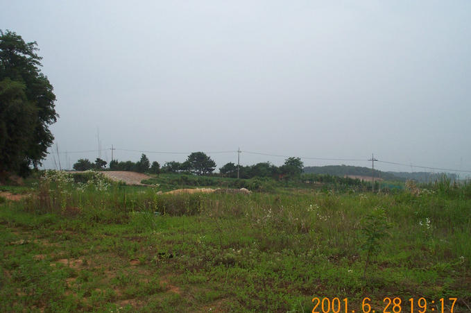 Looking south; I walked through some barely visible paths this way to reach the point.