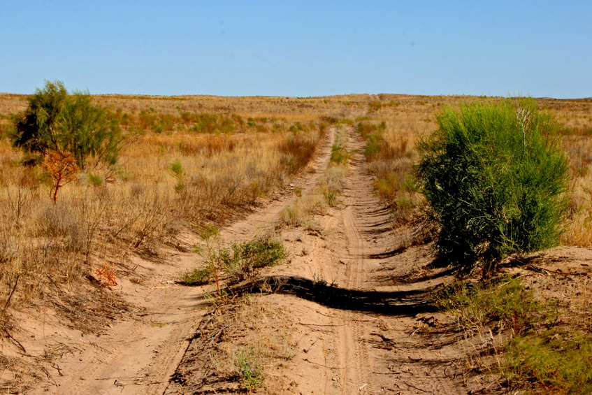 Tracks crossing open aerea of Muyunkum desert