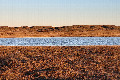 49°N 72°E preview image