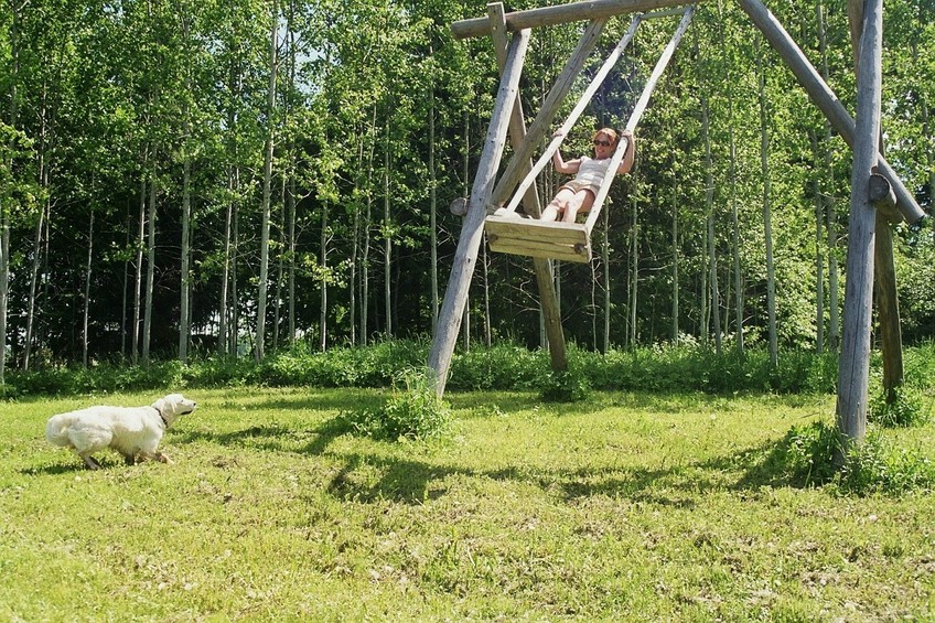 wooden swing on the meadow near the lake