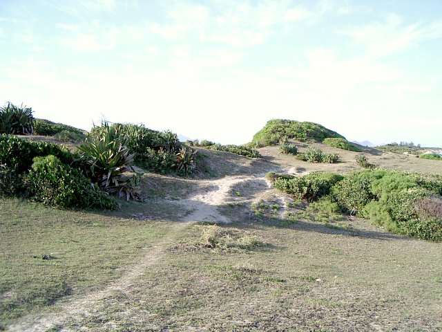 Sand dune landscape north of point