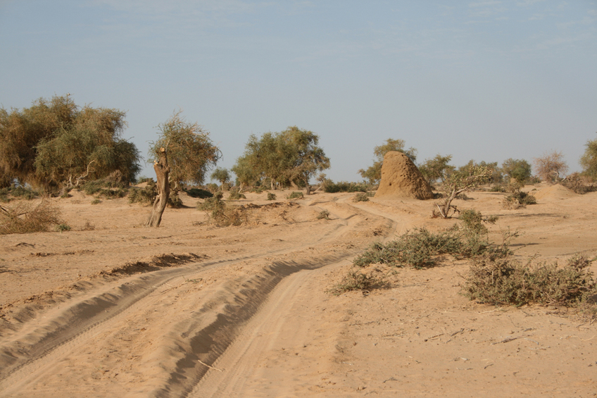 Track along the Niger River