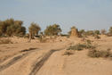 #7: Track along the Niger River