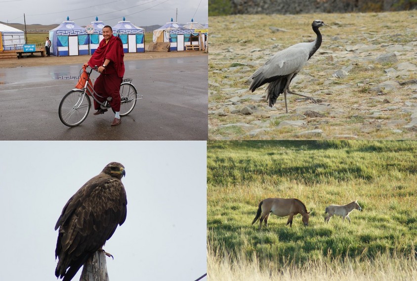 The people, birds, mammal in Mongolia