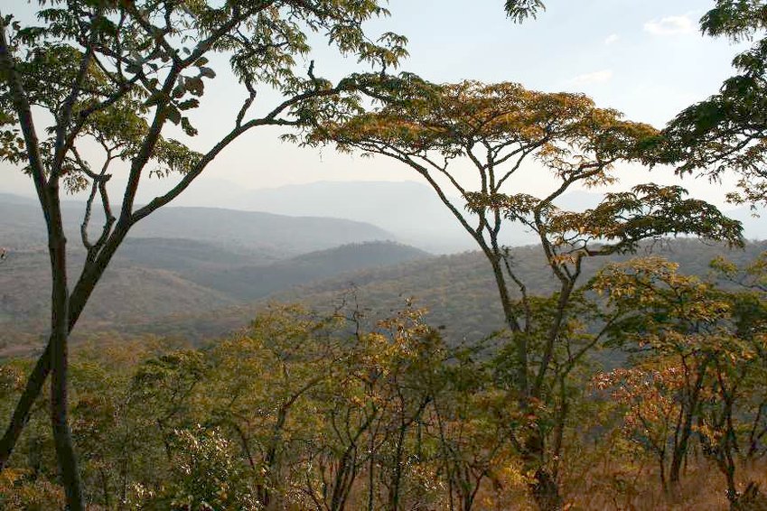 Surrounding view of the Malawi hills