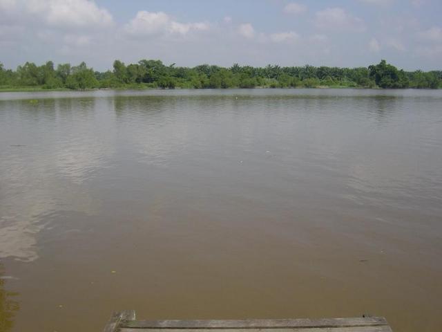 Laguna de Perak, Malasia.
