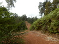 #9: Road 400 m from the Confluence