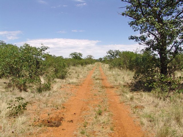 The road 1.6 km from the Confluence
