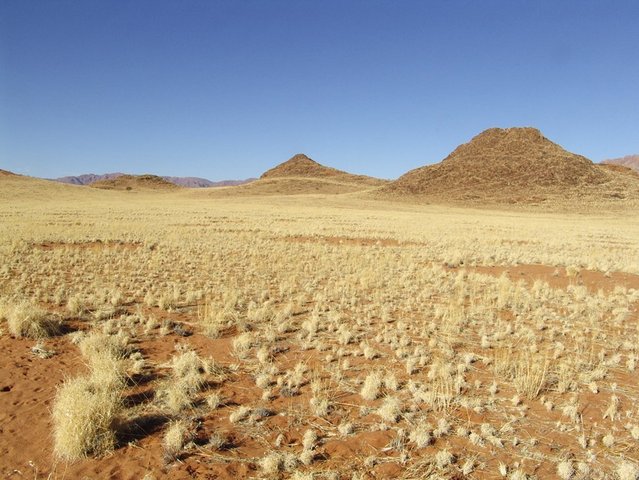 View showing more fairy circles