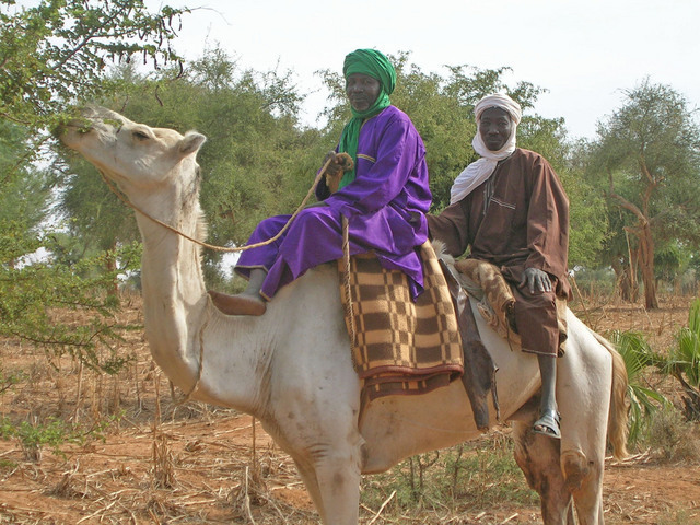 Two of the many Hausa farmers we talked to about farming practices
